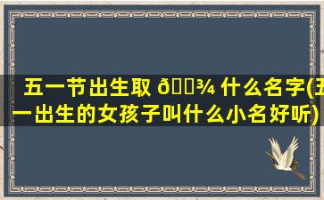 五一节出生取 🌾 什么名字(五一出生的女孩子叫什么小名好听)